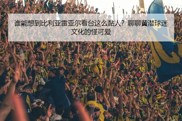 谁能想到比利亚雷亚尔看台这么黏人？聊聊黄潜球迷文化的怪可爱 - leyu